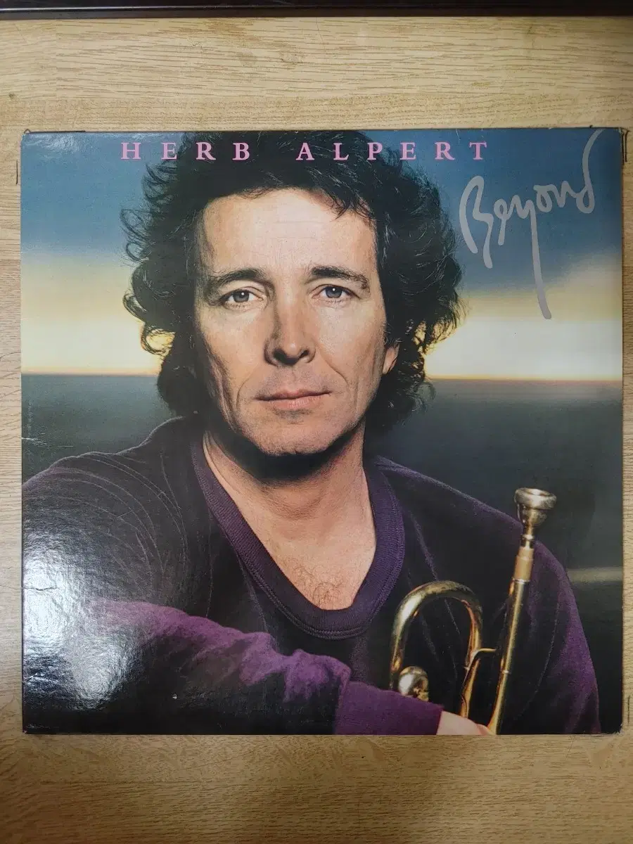 HERB ALPERT 음반 b (LP 턴테이블 오디오 앰프